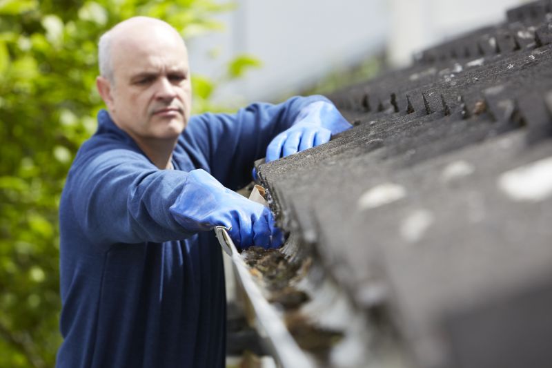 Year-Round Gutter Care